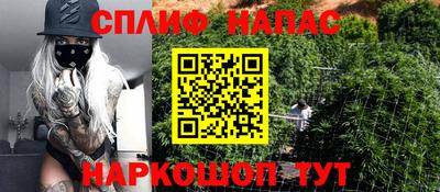 сатива Волгодонск