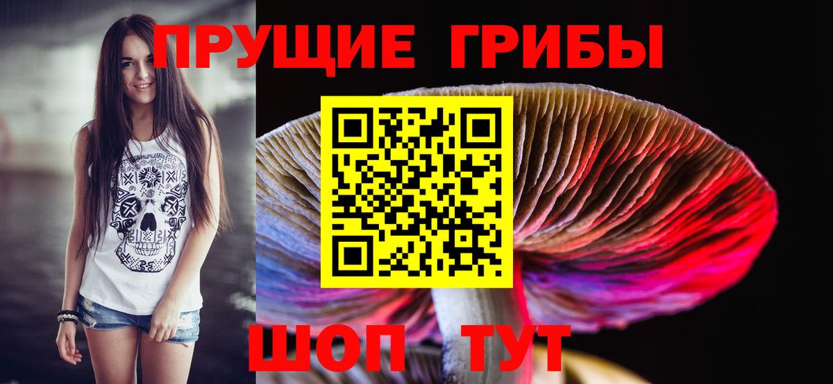 Псилоцибиновые грибы Cubensis  Вход с VPN  Мурманск 